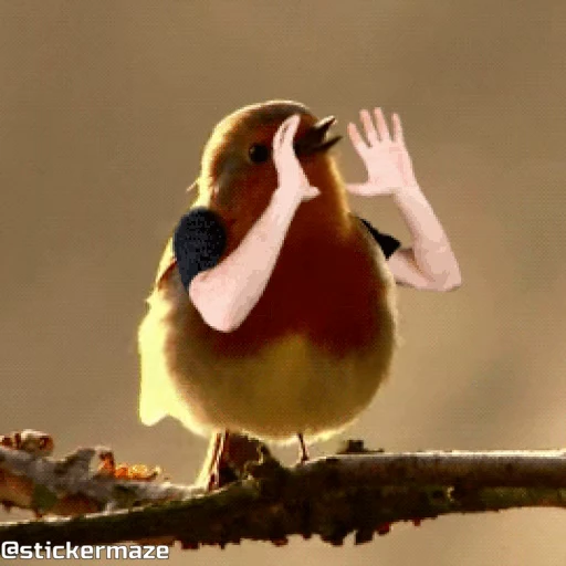 🗣️ Стикер «Birds with arms Птицы с руками» для Telegram