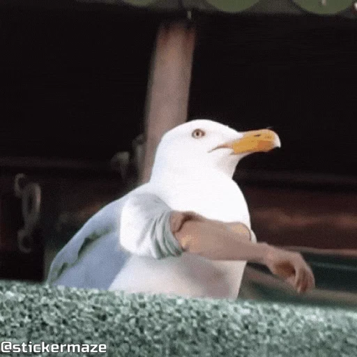 😡 Стикер «Birds with arms Птицы с руками» для Telegram