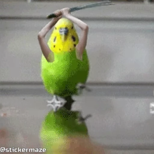 ⚔️ Стикер «Birds with arms Птицы с руками» для Telegram