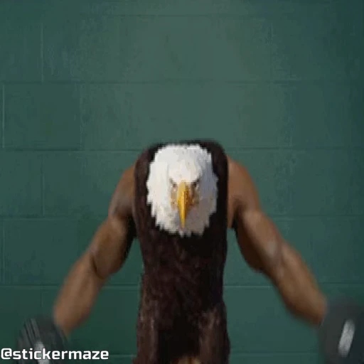 🏋️ Стикер «Birds with arms Птицы с руками» для Telegram