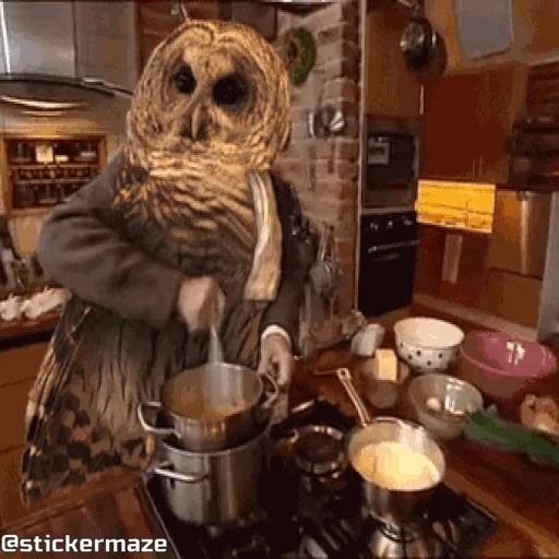 👨‍🍳 Стикер «Birds with arms Птицы с руками» для Telegram
