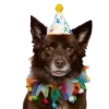 🤩 Эмодзи «С днём рождения #birthday» для Telegram