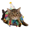 🤩 Эмодзи «С днём рождения #birthday» для Telegram