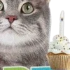 🤩 Эмодзи «С днём рождения #birthday» для Telegram
