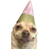 🤩 Эмодзи «С днём рождения #birthday» для Telegram