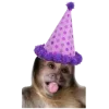 🤩 Эмодзи «С днём рождения #birthday» для Telegram