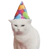 🤩 Эмодзи «С днём рождения #birthday» для Telegram