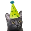 🤩 Эмодзи «С днём рождения #birthday» для Telegram