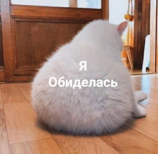🥺 Стикер «сучьи стикеры» для Telegram