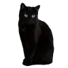 🤩 Эмодзи «Black» для Telegram