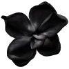 🤩 Эмодзи «Black» для Telegram