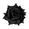 🤩 Эмодзи «Black» для Telegram