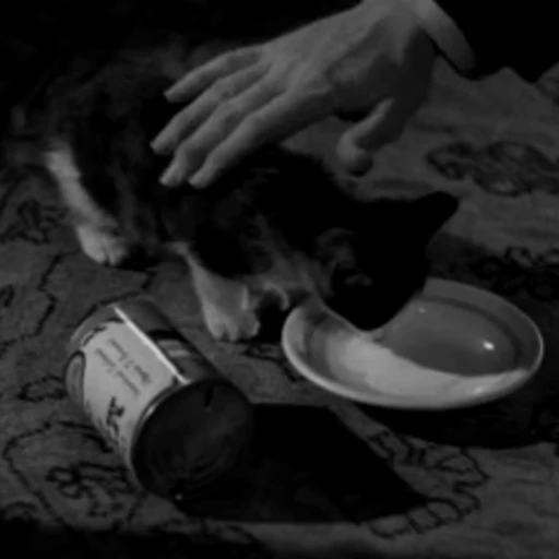 🐈‍⬛ Стикер «𝕭𝖑𝖆𝖈𝖐 𝖇𝖚𝖙𝖑𝖊𝖗 ☕ 🍽» для Telegram