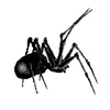 🕷 Эмодзи «black #color #black» для Telegram