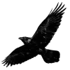 🐦 Эмодзи «Чёрная эстетика» для Telegram