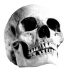 💀 Эмодзи «Black Aesthetics» для Telegram