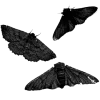 🦋 Эмодзи «Black Aesthetics» для Telegram