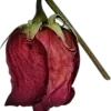 🌟 Эмодзи «Blackred» для Telegram