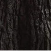 🤩 Эмодзи «Blackred» для Telegram