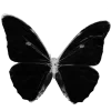 🦋 Эмодзи «🧸 Black - черный эстетик» для Telegram