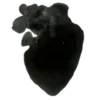 🫀 Эмодзи «🧸 Black - черный эстетик» для Telegram
