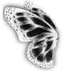 🦋 Эмодзи «🧸 Black - черный эстетик» для Telegram