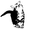 🤍 Эмодзи «Чб» для Telegram