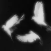 🖤 Эмодзи «Чб» для Telegram