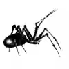 🕷 Эмодзи «🐈‍⬛ Черные эмодзи» для Telegram