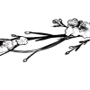 🤩 Эмодзи «Black Japan» для Telegram