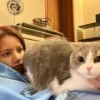 🫣 Эмодзи «Black Pink» для Telegram