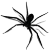 🕷️ Эмодзи «🍒 black status» для Telegram