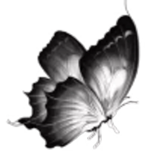 🦋 Эмодзи «black white» для Telegram
