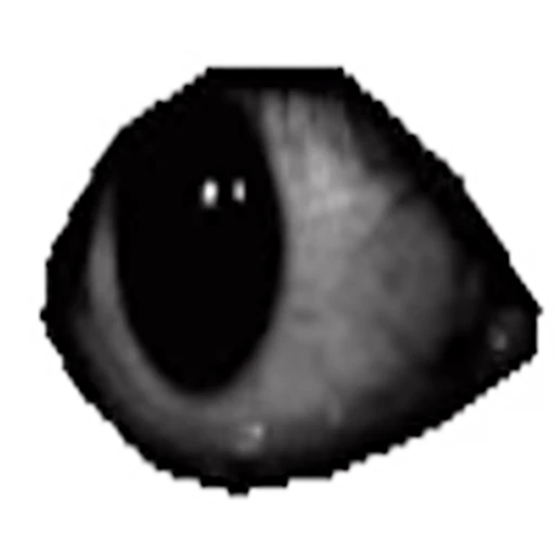 👁 Эмодзи «black&white» для Telegram