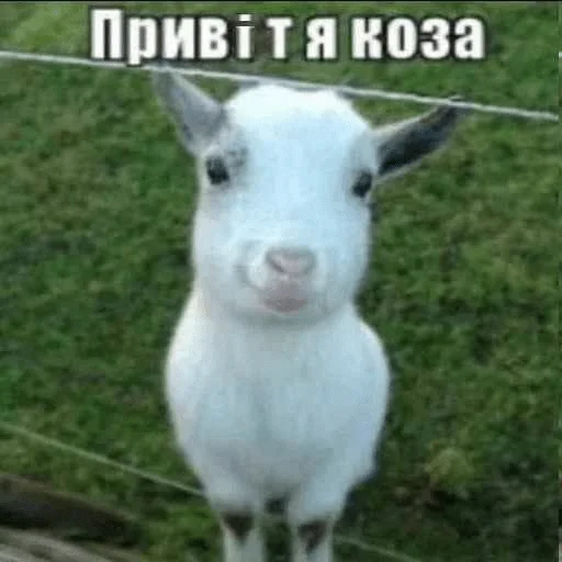 👋 Стикер «GBTS» для Telegram