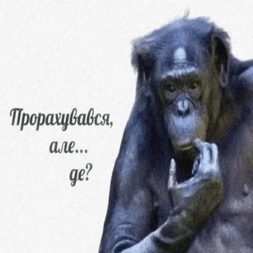 🐵 Стикер «GBTS» для Telegram