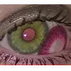 🤩 Эмодзи «Dollhouse» для Telegram