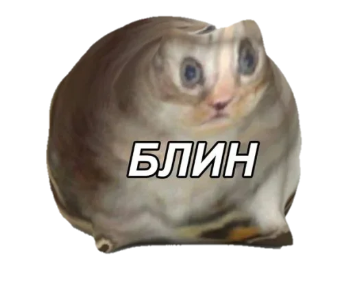 😕 Стикер «snyusfor» для Telegram