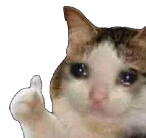 😢 Стикер «snyusfor» для Telegram