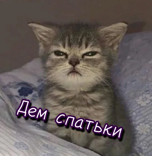😴 Стикер «Тю блин Зверюшки» для Telegram