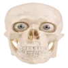 💀 Эмодзи «Stupid Block Of» для Telegram