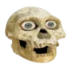💀 Эмодзи «Stupid Block Of» для Telegram