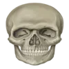 💀 Эмодзи «Stupid Block Of» для Telegram