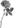 🌹 Эмодзи «Blood Core» для Telegram