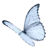 🦋 Эмодзи «Голубые» для Telegram