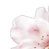 🌟 Эмодзи «Blueberries Nds From» для Telegram