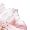 🌟 Эмодзи «Blueberries Nds From» для Telegram