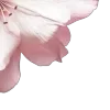 🌟 Эмодзи «Blueberries Nds From» для Telegram