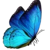 🦋 Эмодзи «Синий» для Telegram