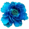 🌸 Эмодзи «Синий» для Telegram